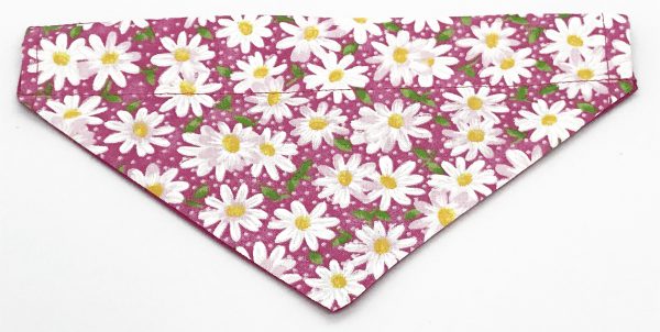 Bandana floral margarida para cachorro