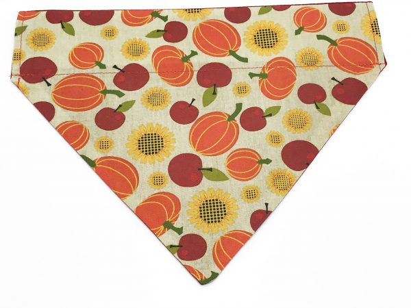 Thanksgiving Harvest Dog Bandana