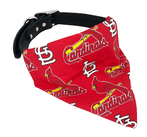 st louis cardinals dog collar medium