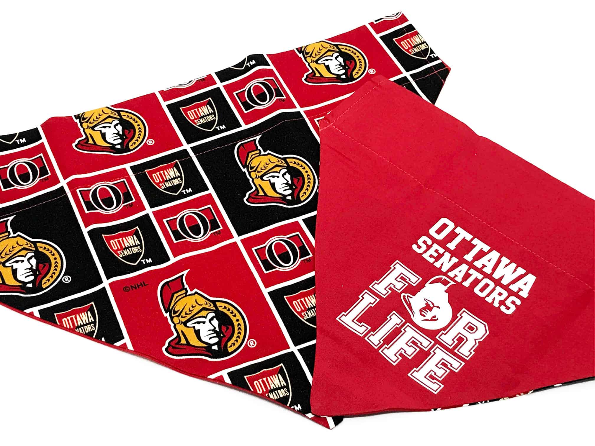 ottawa senators dog jersey