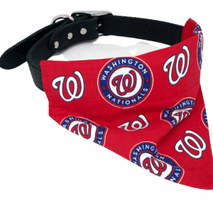 Washington Nationals hondenbandana
