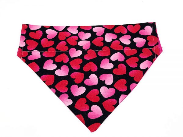 Bandana de cachorro brilhante e bonito