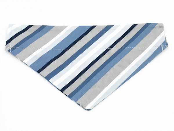 Dog Park Contemporary dog bandana