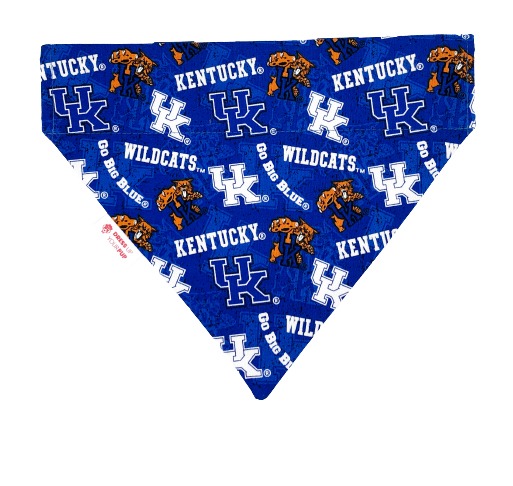 Pañuelo para perro de los Wildcats de la Universidad de Kentucky
