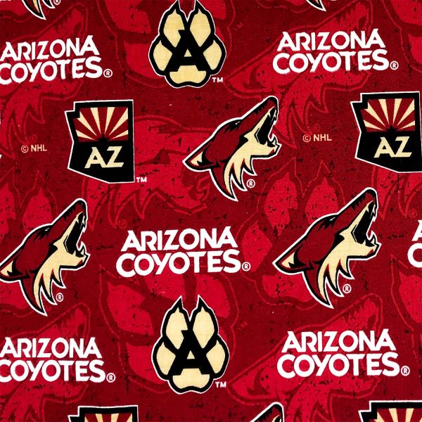 Pañuelo para perros Arizona Coyotes