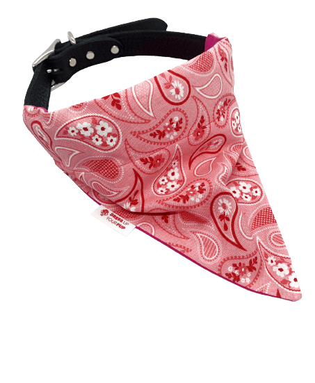 Paisley Dog Bandana Verkleed je pup