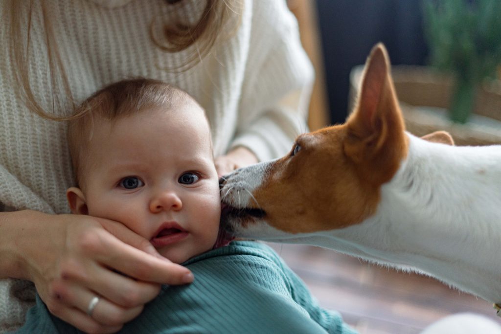 perro y bebe