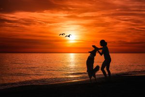 Mädchen mit Hund am Strand
