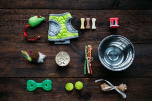 Pet care. Many food, toys and accessories for dog and cat on wooden background. Various balls, toy mouse, bones for playing and training.