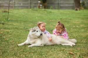 The two little baby girsl playing with dog against green grass in park