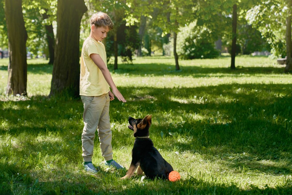 Happy boy in casual clothes training little puppy at city park. Male owner spending time for pet's education. Outdoors activity.