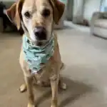 307229126_616921889942643_115090426445652784_n-1