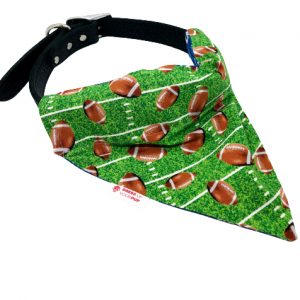 Detroit Lions Dog Bandana Dress Up Your Pup