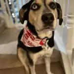 image_50411521-scaled