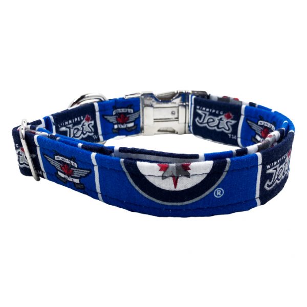 Collier pour chien Jets de Winnipeg