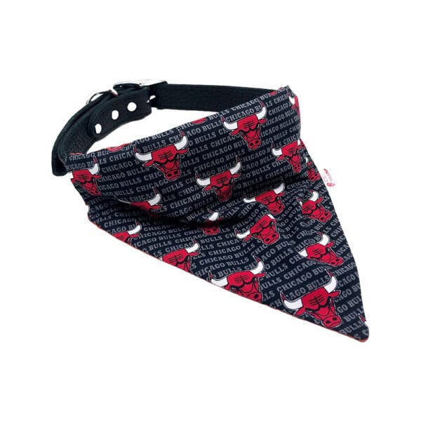 Chicago Bulls Dog Bandana