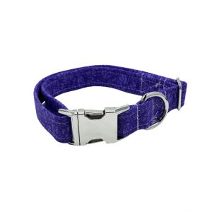 Purple Parade Dog Collar