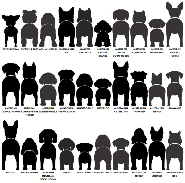 Dog Butt Leash Holder – Image 3