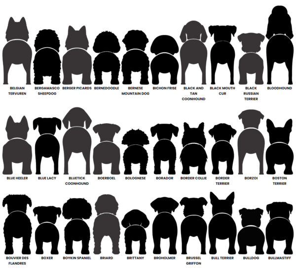 Dog Butt Leash Holder – Image 4