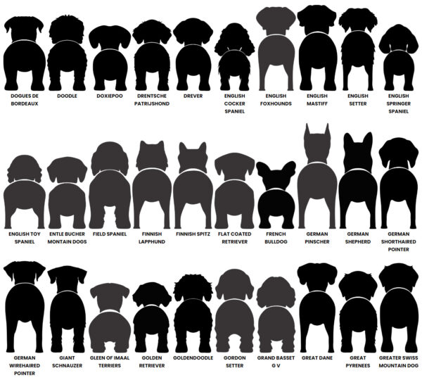 Dog Butt Leash Holder – Image 6