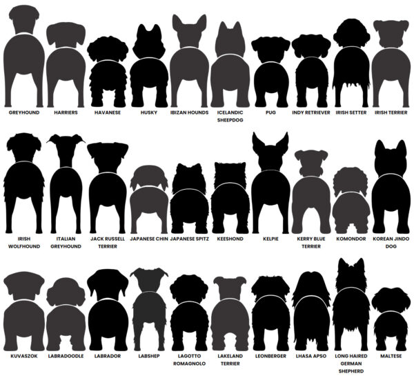 Dog Butt Leash Holder – Image 7
