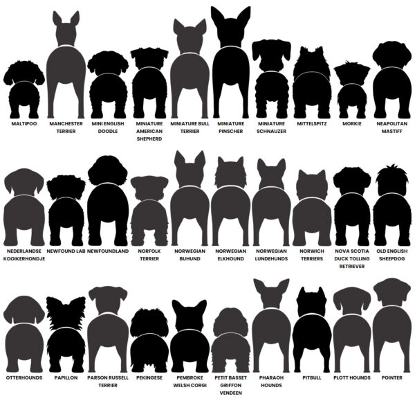 Dog Butt Leash Holder – Image 8