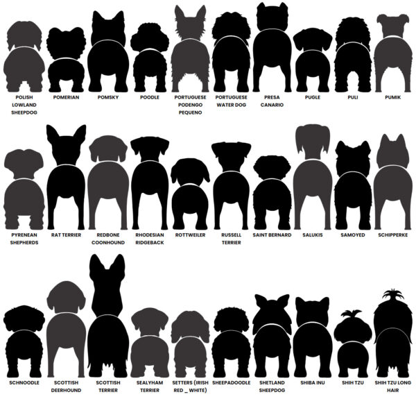 Dog Butt Leash Holder – Image 9