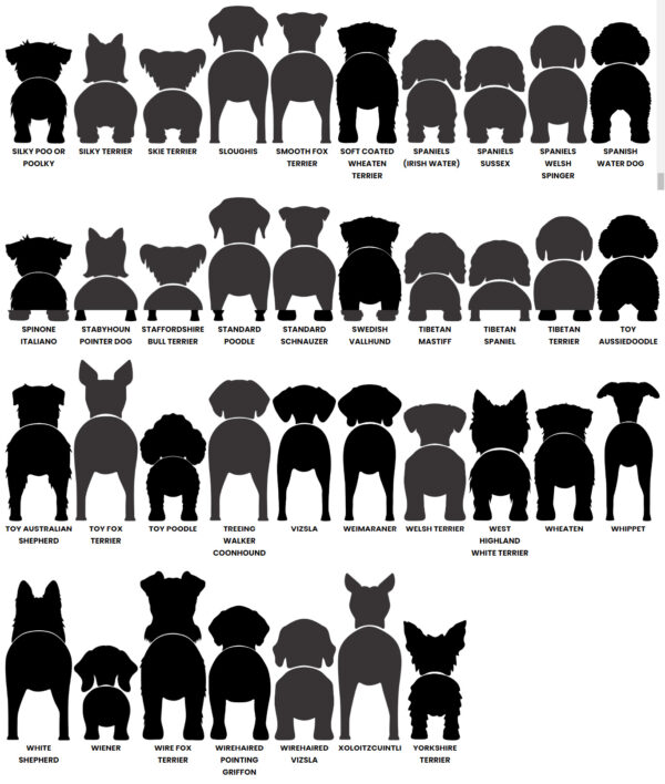Dog Butt Leash Holder – Image 10